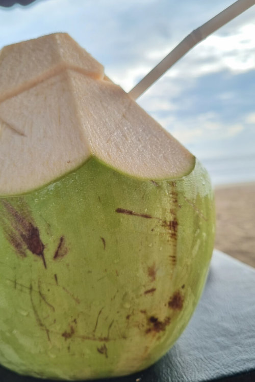 coconut am Strand