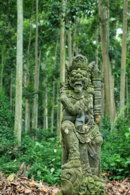 jungle temple in Bali